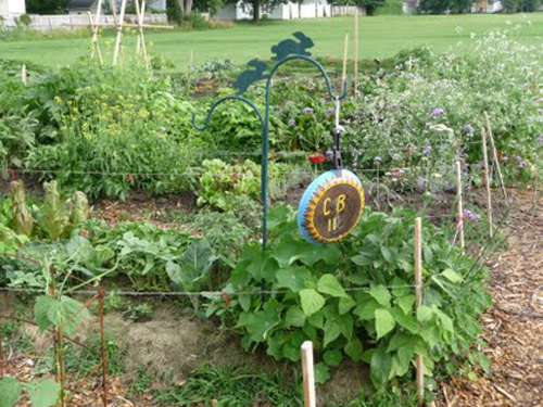 From Garden to Table: Plant a Row for the Hungry