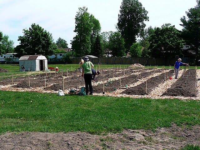 Getting Involved: Plattsburgh Community Garden